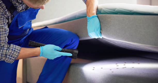 Best Pest Inspection Near Me  in Manchester, KY